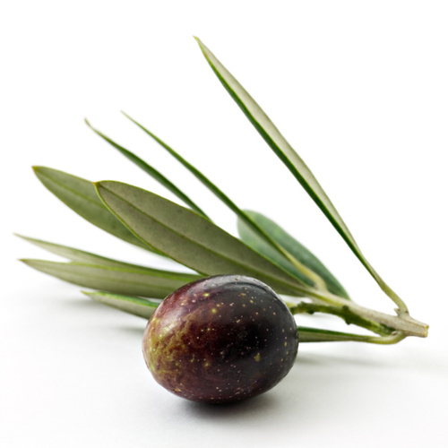 천연사랑 올리브 엑스트라버진 오일(olive extra virgin oil)