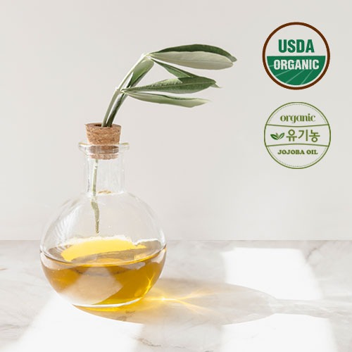 천연사랑-골든호호바오일, 유기농, 비정제, 압착 (Jojoba oil, organic)